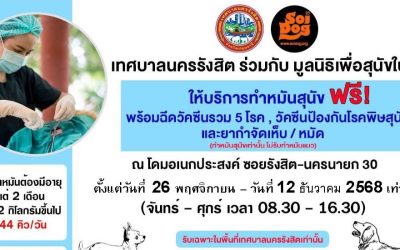 เทศบาลนครรังสิต ร่วมกับ มูลนิธิเพื่อสุนัขในซอย (Soi Dog) ให้บริการทำ #หมันสุนัขฟรี! พร้อมฉีดวัคซีนรวม 5 โรค /วัคซีนป้องกันพิษสุนัขบ้า และยากำจัดเห็บหมัด 🐶