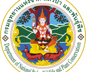 [มท0808.2/ว1463] ระเบียบกรมอุทยานแห่งชาติ สัตว์ป่า และพันธุ์พืช ว่าด้วยการจ่ายเงินช่วยเหลือเยียวยาผู้ได้รับผลกระทบจากช้างป่าจากงบกลาง พ.ศ.2568